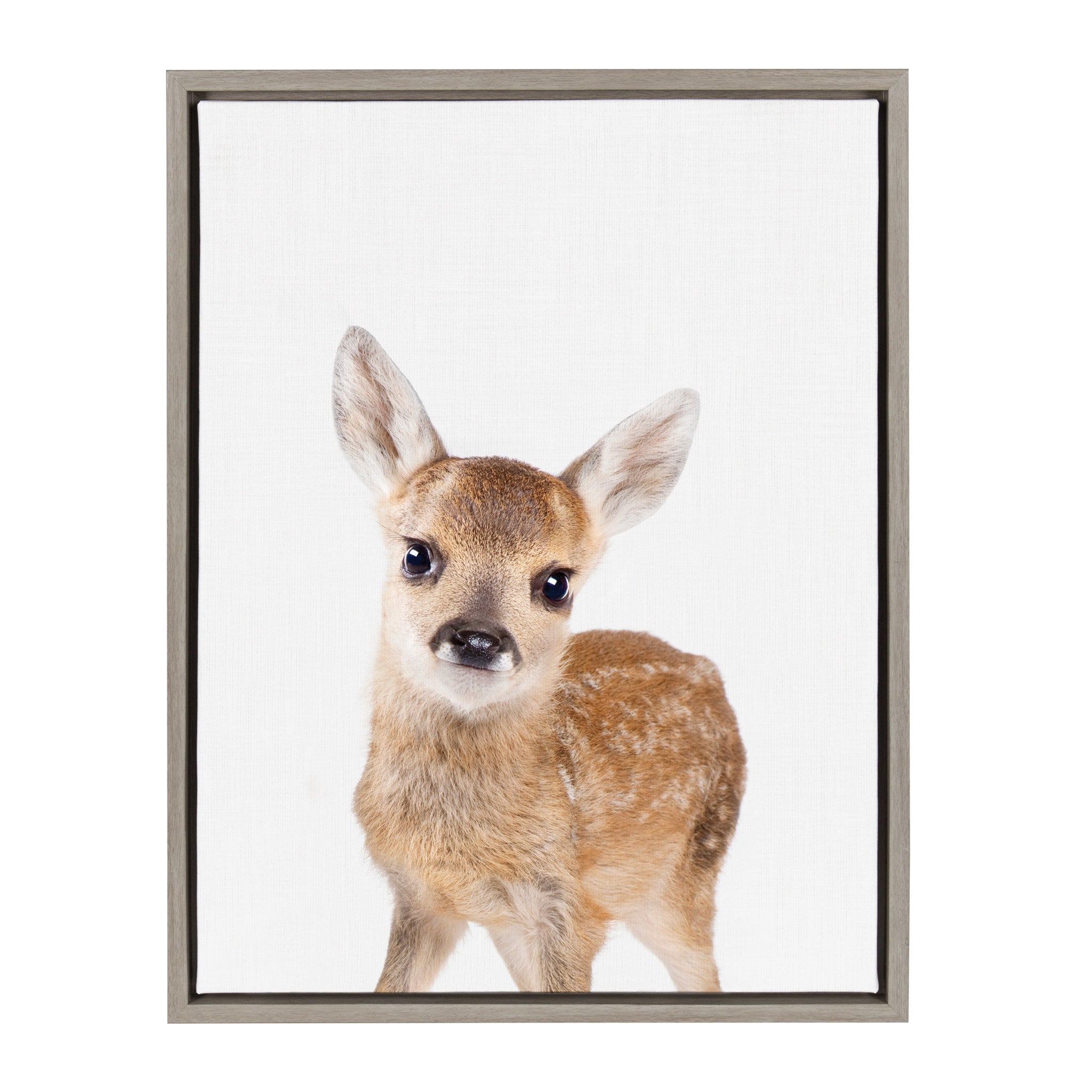 Sylvie Animal Studio Deer Framed Canvas by kateandlaurel - main product image for Resin Society