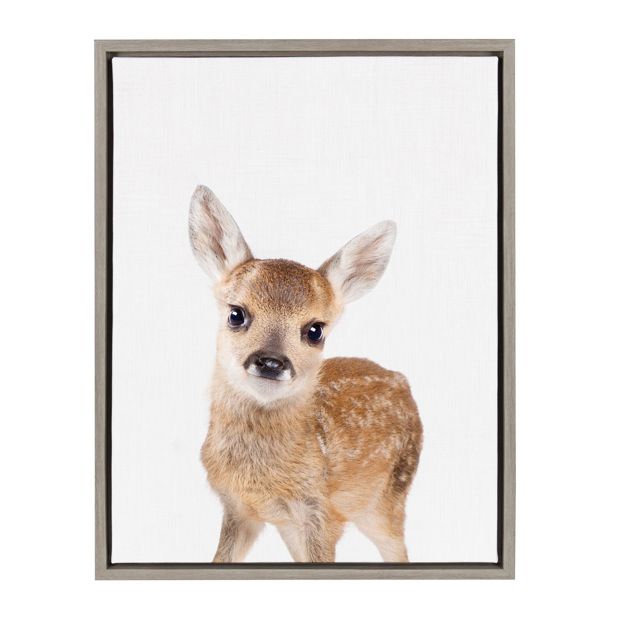 Sylvie Animal Studio Deer Framed Canvas by kateandlaurel - product image 8 for Resin Society