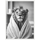 Black and white portrait of a lion wrapped in a soft towel, gazing forward with a calm, majestic expression against a blurred indoor background.