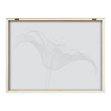 Framed black and white X-ray print of a lily flower, showing delicate translucent petals and stem details against a white background.
