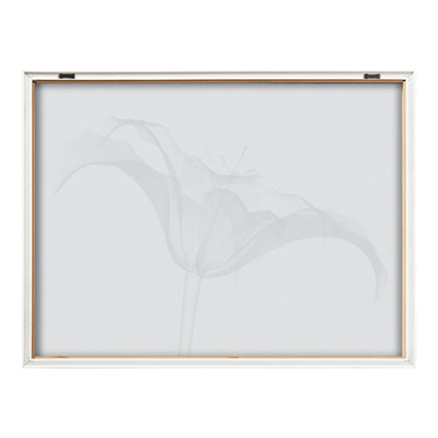 Blake Lily X Ray Floral BW Framed Printed Art by The Creative Bunch Studio