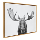 Black and white frontal portrait of a moose with large antlers displayed on a white canvas framed in light wood, shown angled from the side.