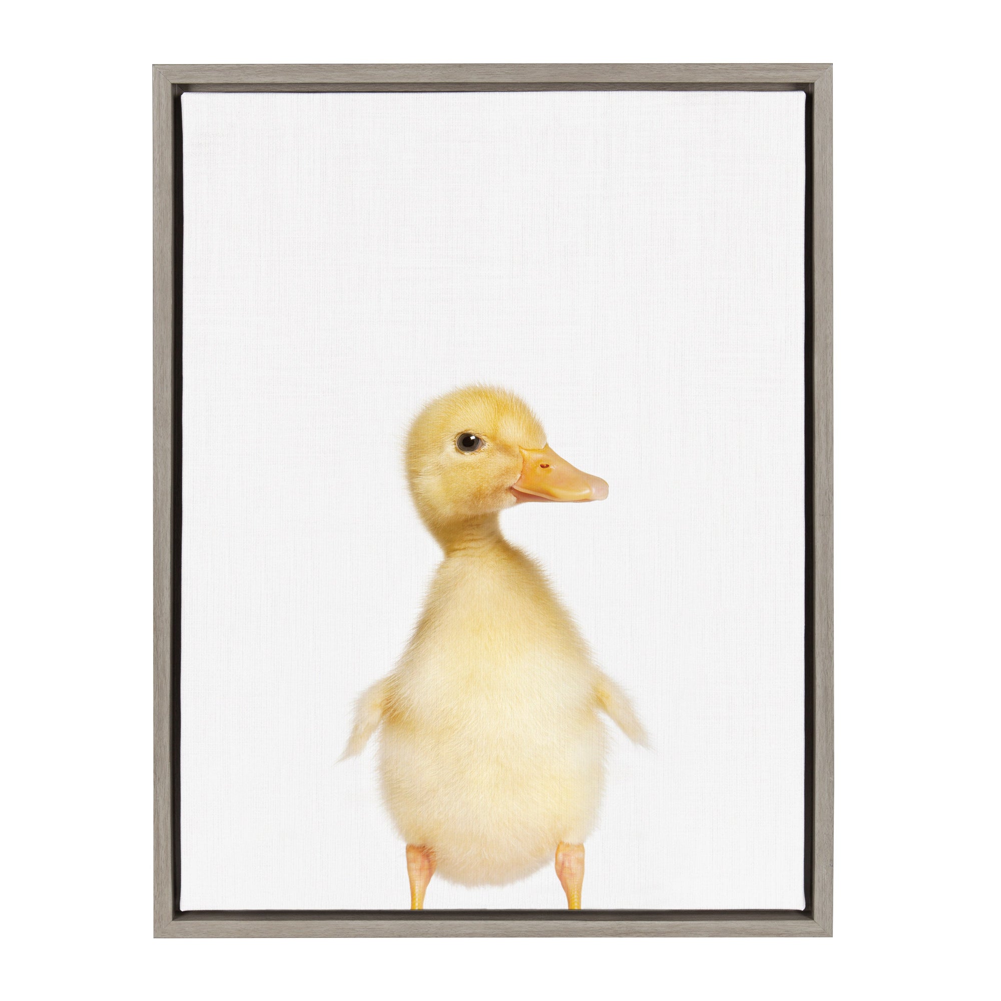 Sylvie Animal Studio Duck Framed Canvas by kateandlaurel - product image 8 for Resin Society