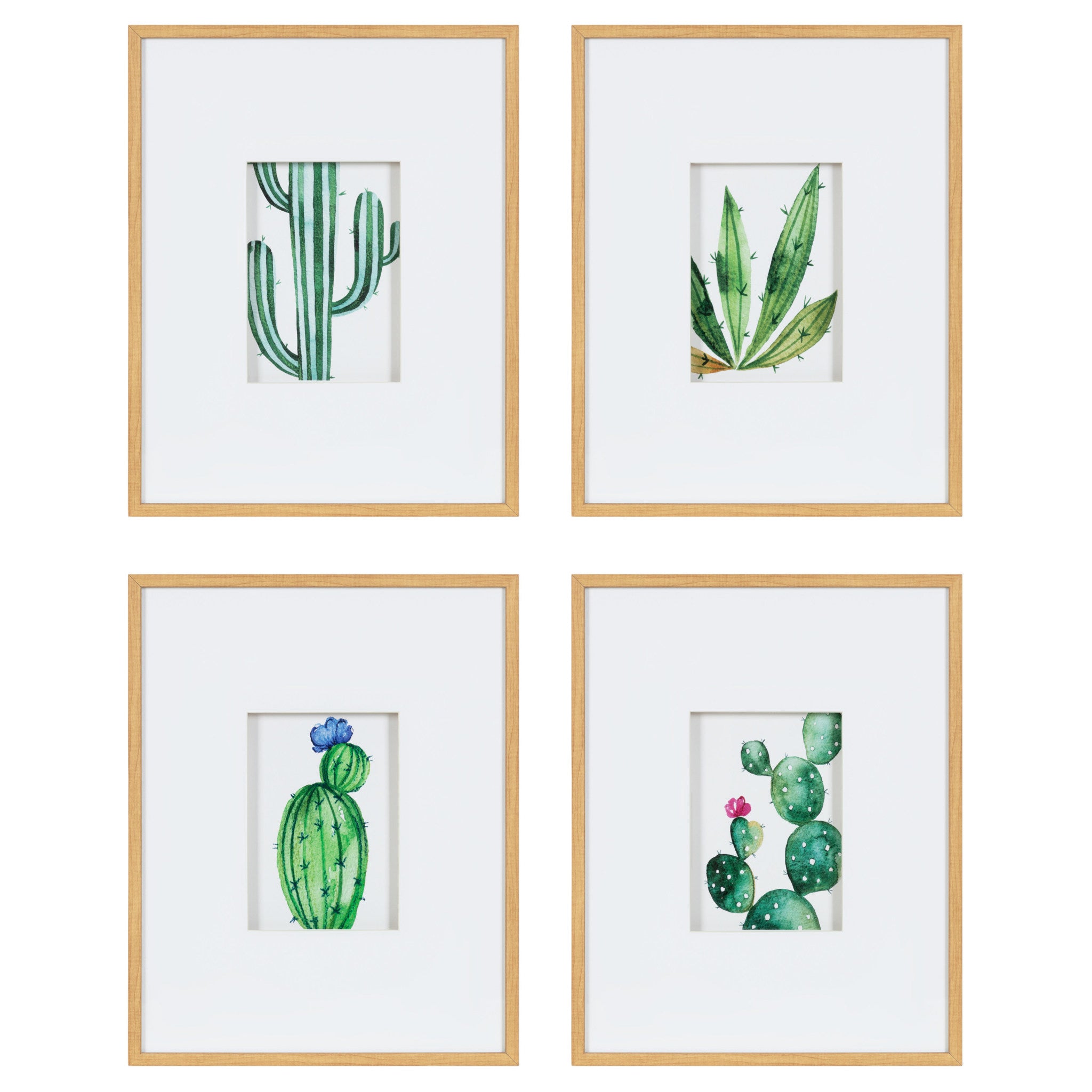 Liev Succulent Framed Print Art Set by kateandlaurel - main product image for Resin Society