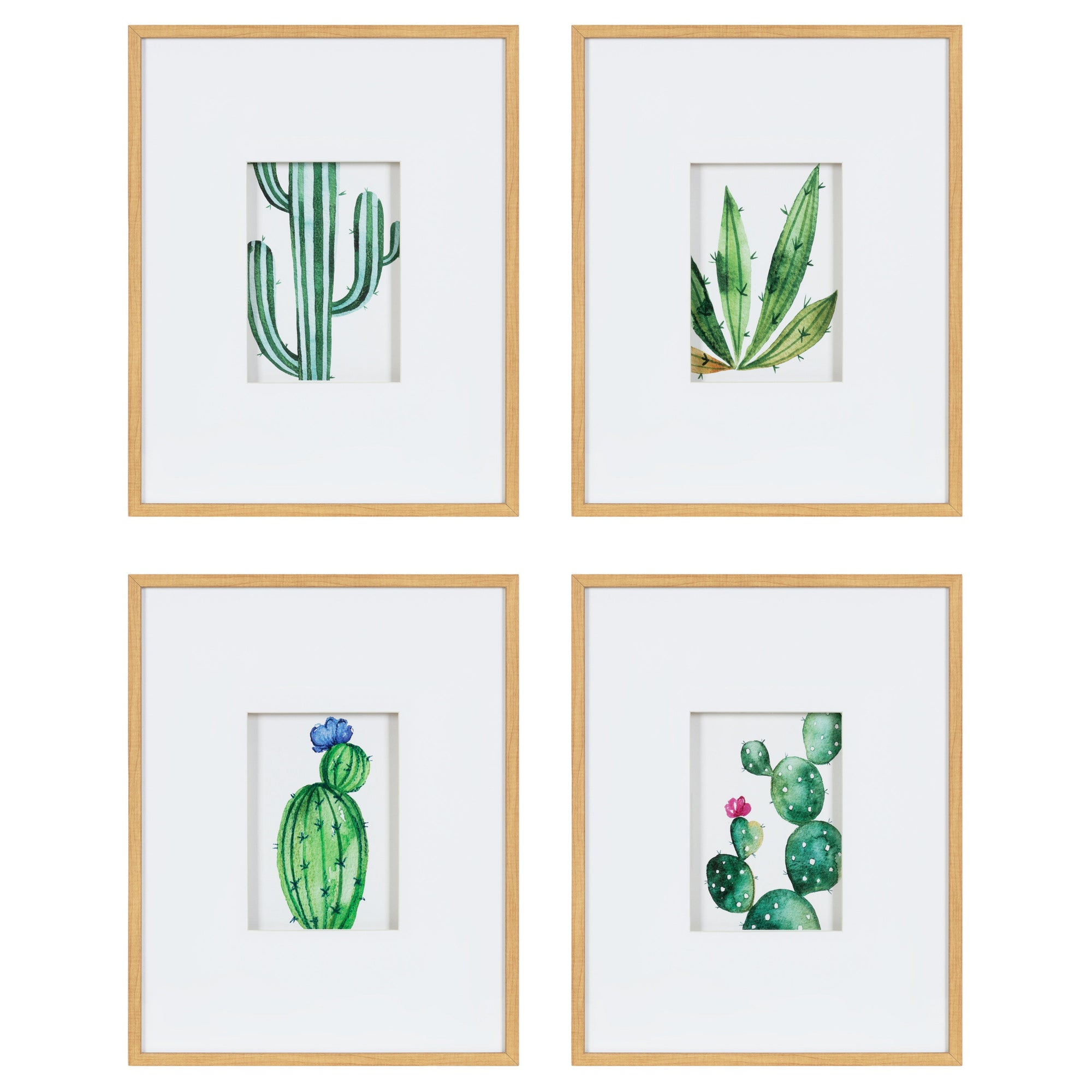 Liev Succulent Framed Print Art Set by kateandlaurel - product image 9 for Resin Society