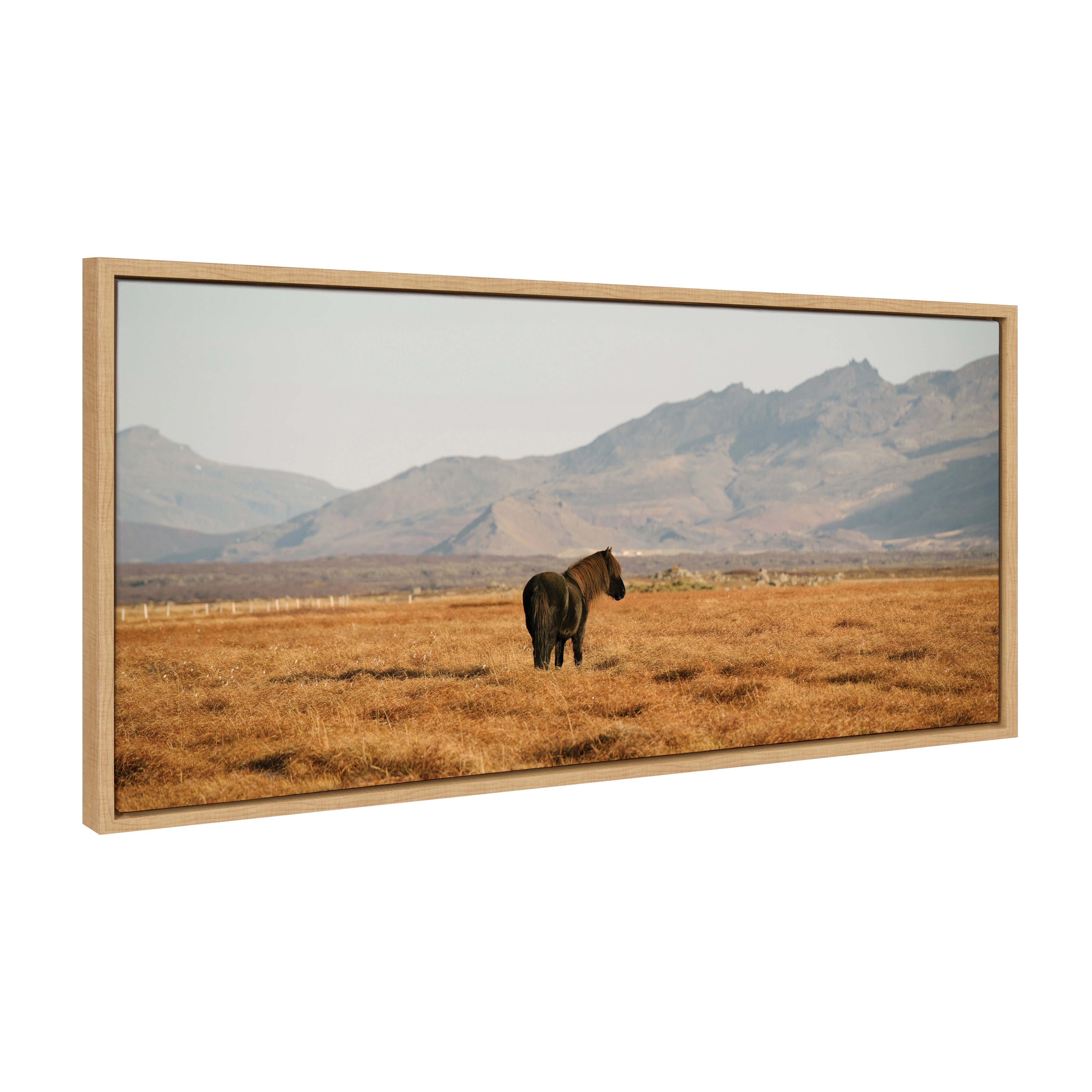 Framed canvas art of an Icelandic horse in a serene natural landscape, by Crystal Lynn Collins