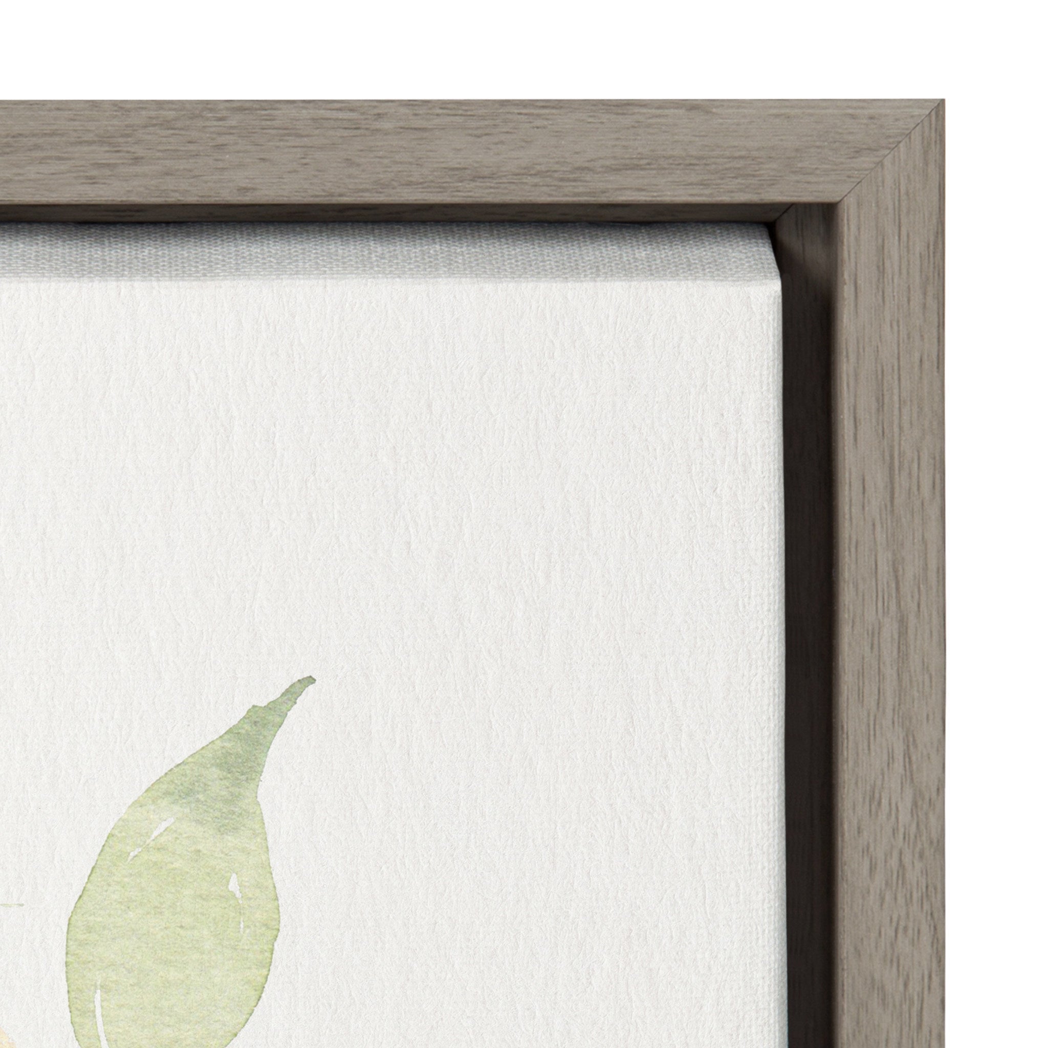 Sylvie Orange Citrus Framed Canvas by kateandlaurel - product image 3 for Resin Society