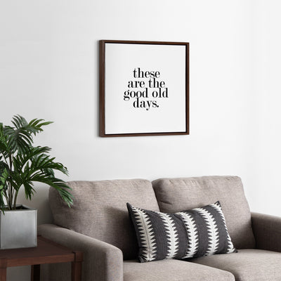 Sylvie Good Old Days Framed Canvas by kateandlaurel - product image 7 for Resin Society
