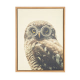 Sylvie Owl Wearing Glasses Framed Canvas by kateandlaurel - main product image for Resin Society