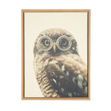 Sylvie Owl Wearing Glasses Framed Canvas by kateandlaurel - product image 10 for Resin Society