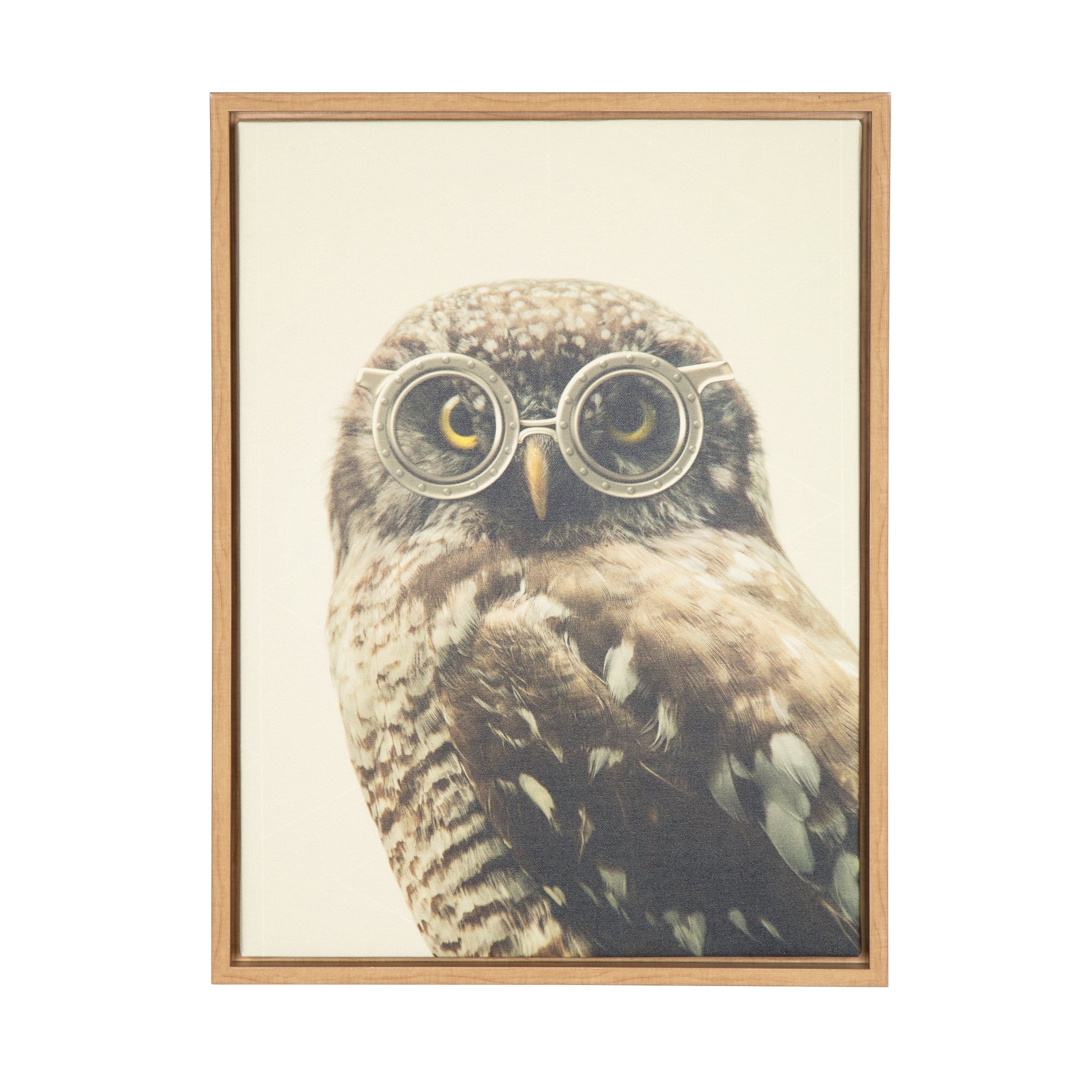 Sylvie Owl Wearing Glasses Framed Canvas by kateandlaurel - product image 10 for Resin Society