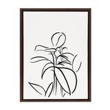 Sylvie Botanical Sketch Print No 1 Framed Canvas by The Creative Bunch