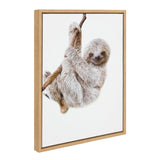 Framed canvas art of a baby sloth with light brown and gray fur hanging from a small branch against a white background.