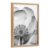 Blake Poppy X Ray Floral 2 BW framed printed art showing detailed monochrome floral design inside a modern frame