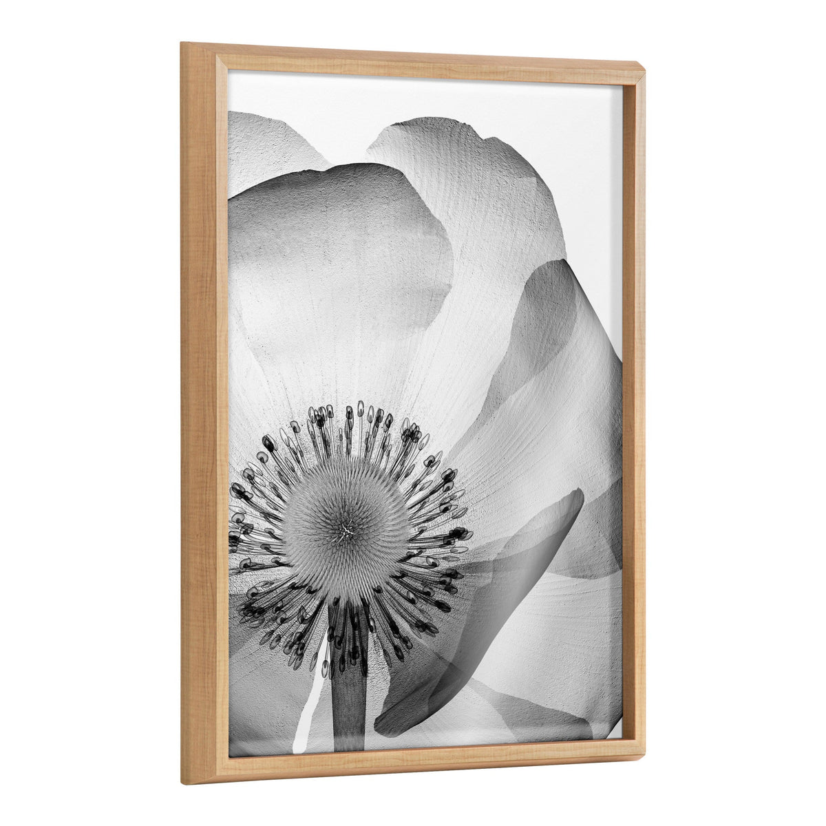 Blake Poppy X Ray Floral 2 BW framed printed art showing detailed monochrome floral design inside a modern frame