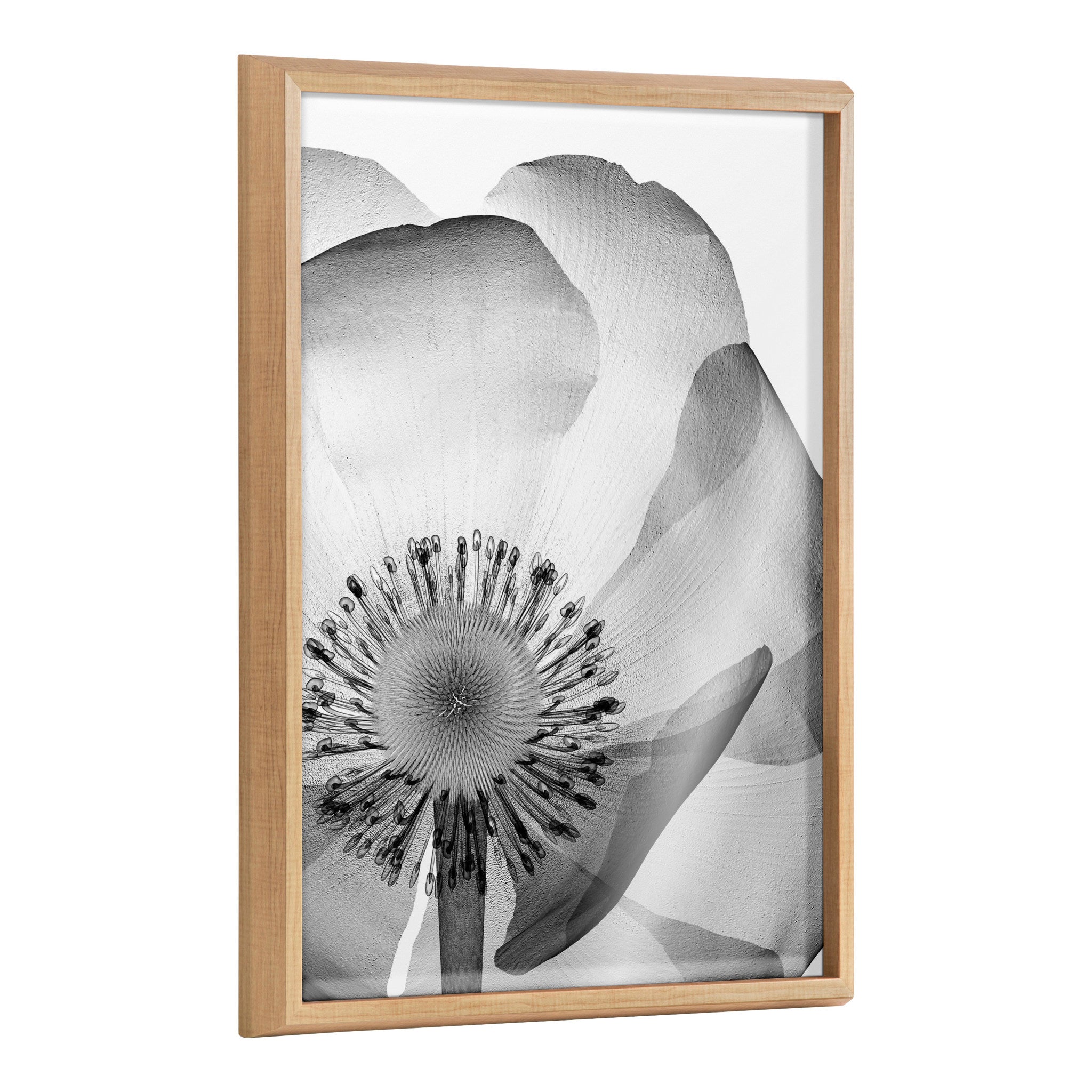 Blake Poppy X Ray Floral 2 BW framed printed art showing detailed monochrome floral design inside a modern frame