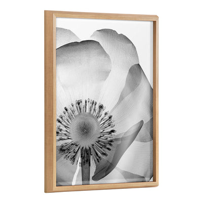 Blake Poppy X Ray Floral 2 BW framed printed art showing detailed monochrome floral design inside a modern frame