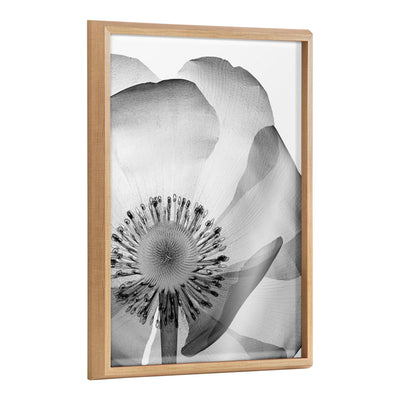 Blake Poppy X Ray Floral 2 BW Framed Printed Art by The Creative Bunch Studio