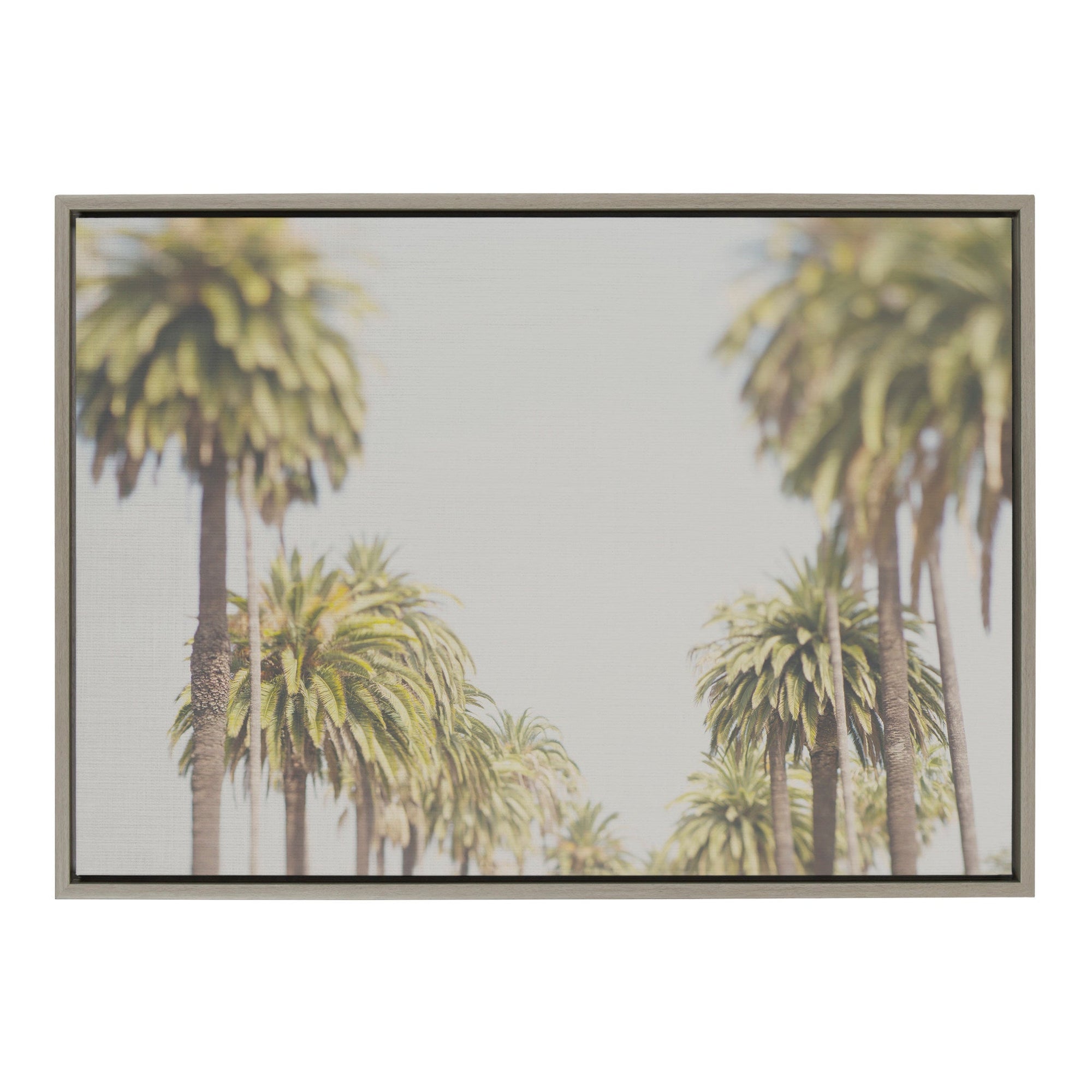 Sylvie LA California Palm Trees Framed Canvas by Laura Evans by kateandlaurel - main product image for Resin Society
