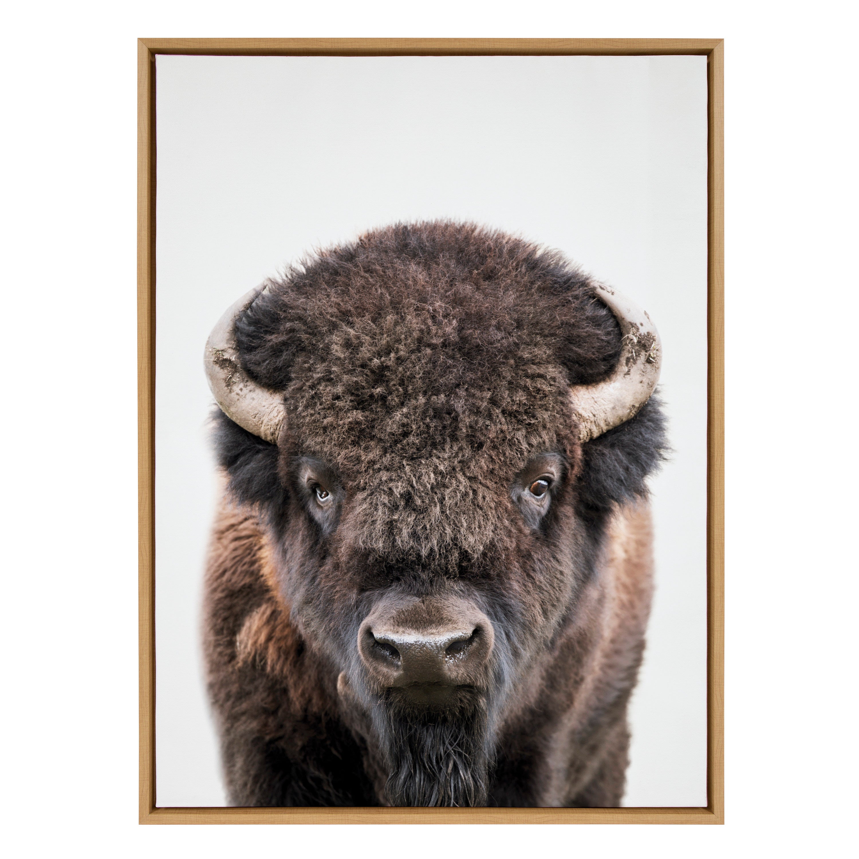 Sylvie Bison Portrait Framed Canvas by Amy Peterson Art Studio