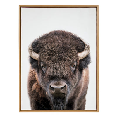 Sylvie Bison Portrait Framed Canvas by Amy Peterson Art Studio