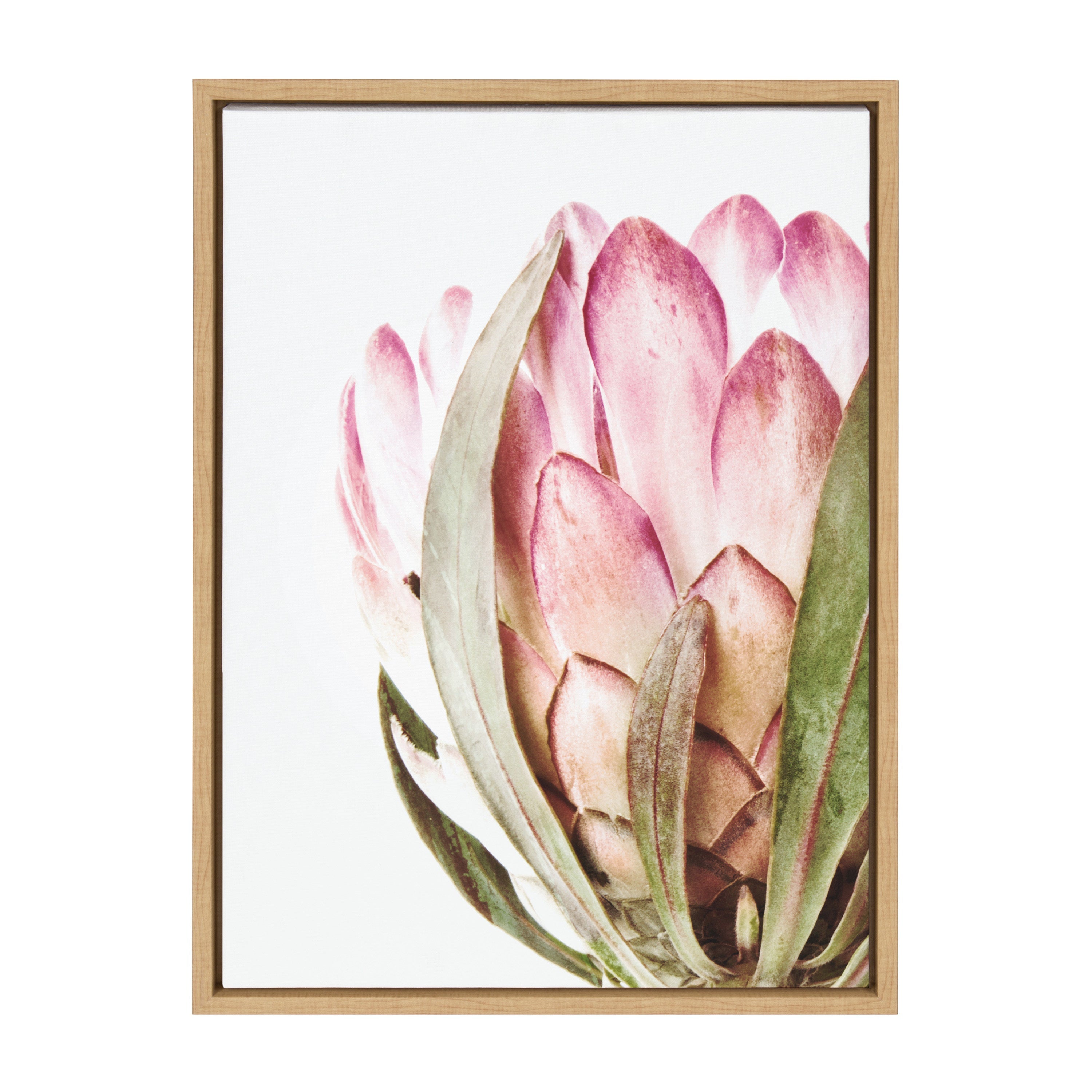 Sylvie Pink Protea Flower Framed Canvas by Amy Peterson by kateandlaurel - product image 20 for Resin Society