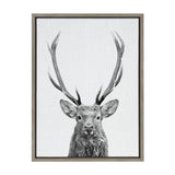 Black and white canvas print of a red deer head with large antlers against a plain white background, framed in a simple dark wood frame.