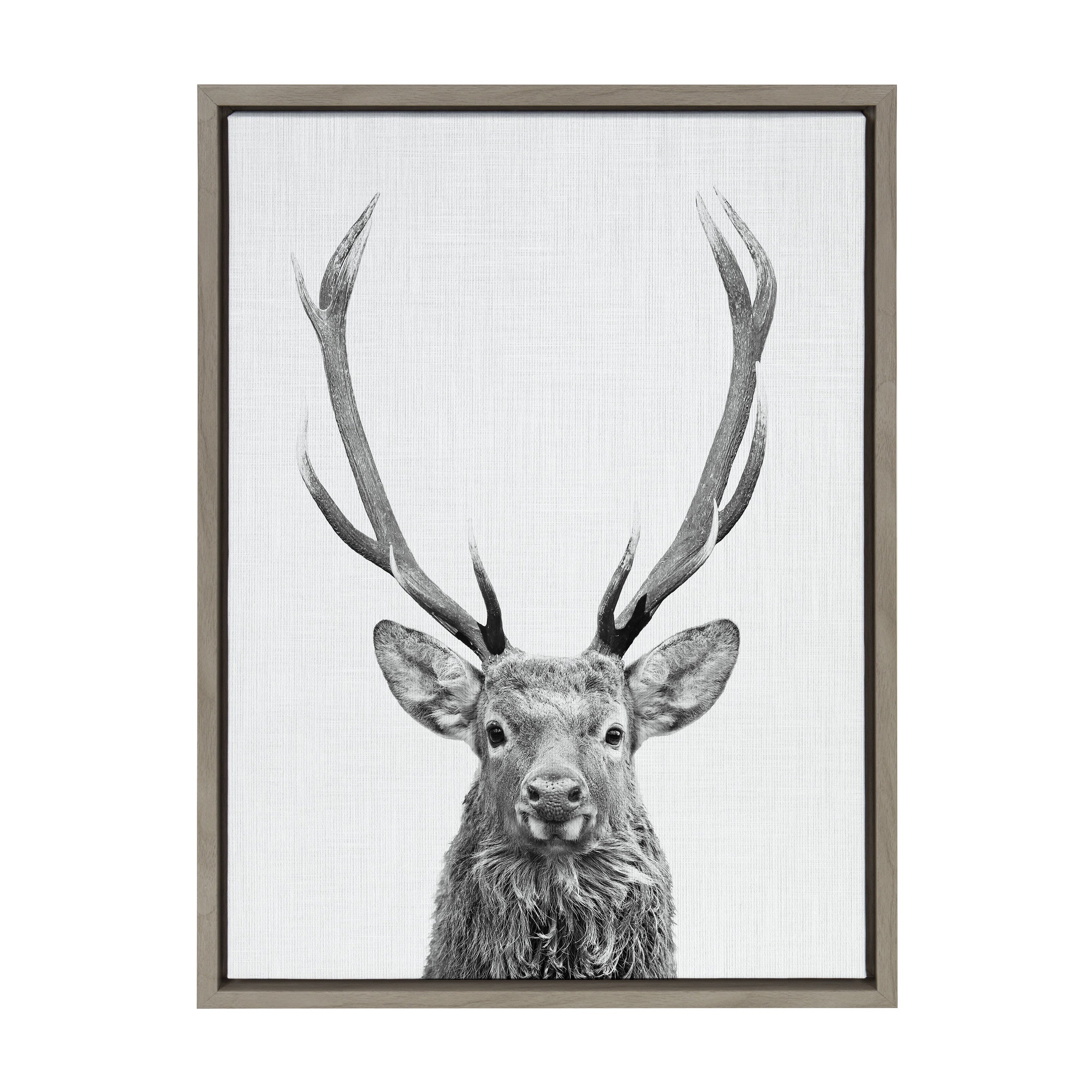Sylvie The Red Deer BW Framed Canvas by Simon Te of Tai Prints