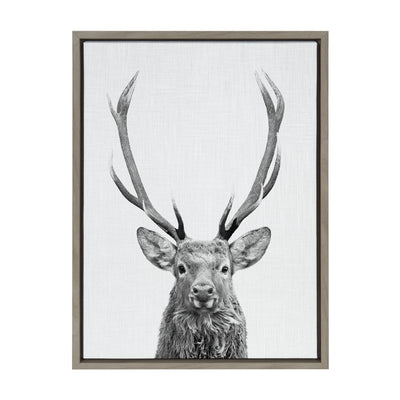 Sylvie The Red Deer BW Framed Canvas by Simon Te of Tai Prints