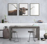 Sylvie Texas Longhorn Cow Lick 1 2 3 Framed Canvas by kateandlaurel - product image 5 for Resin Society