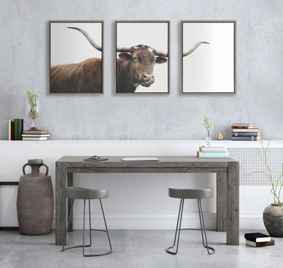 Sylvie Texas Longhorn Cow Lick 1 2 3 Framed Canvas by kateandlaurel - product image 5 for Resin Society