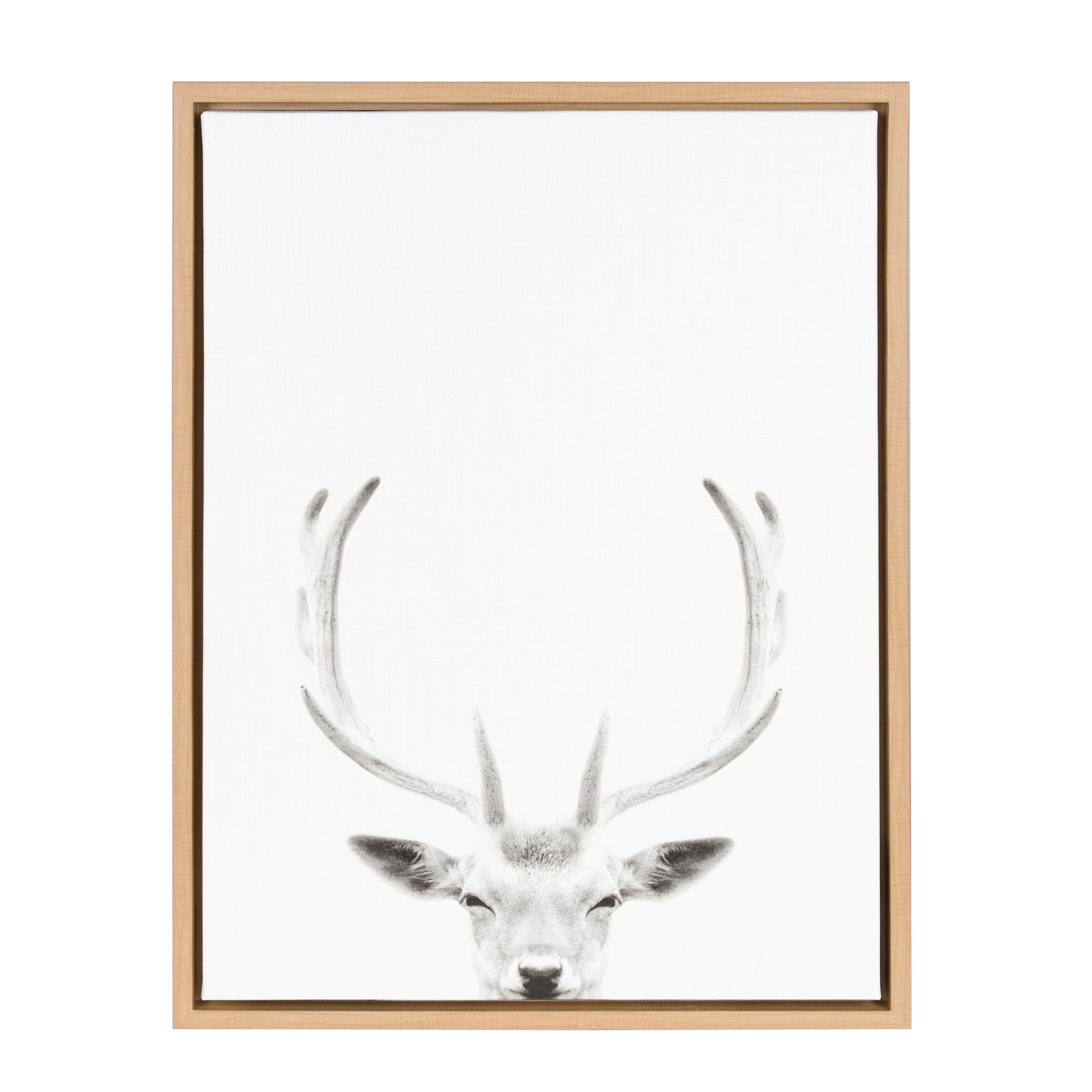 Sylvie Deer Portrait Framed Canvas by Simon Te Tai by kateandlaurel - product image 7 for Resin Society