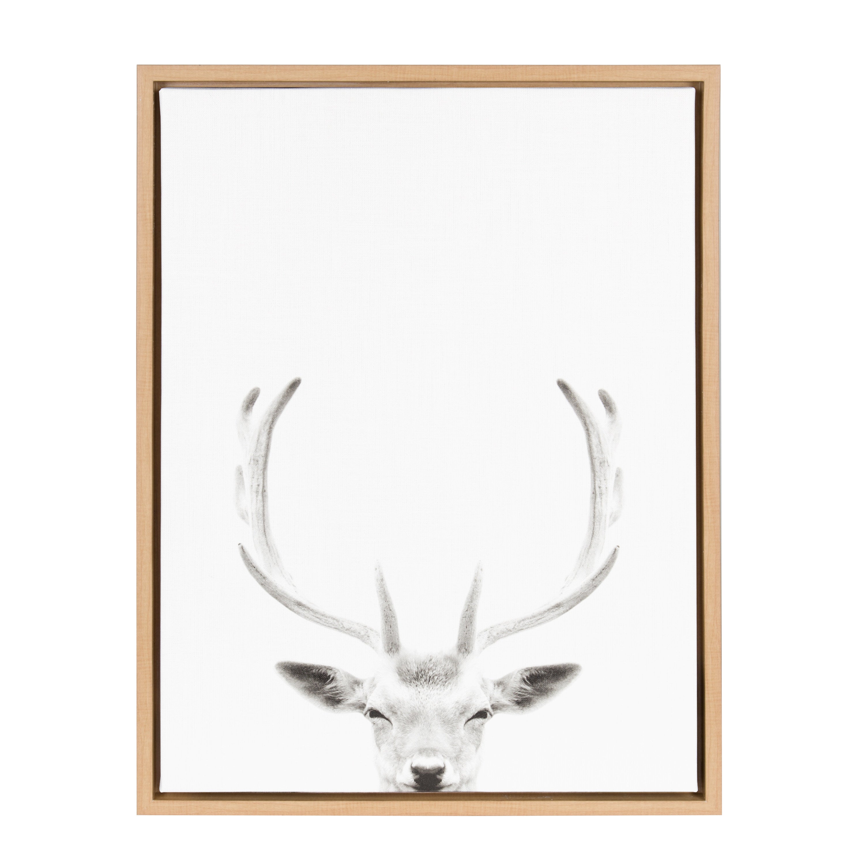 Sylvie Deer Portrait Framed Canvas by Simon Te Tai by kateandlaurel - product image 7 for Resin Society
