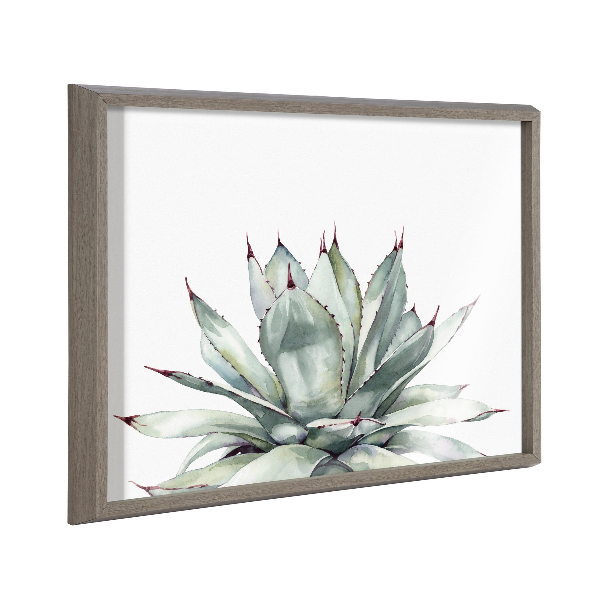 Blake Parrys Agave Framed Printed Glass by kateandlaurel - product image 7 for Resin Society