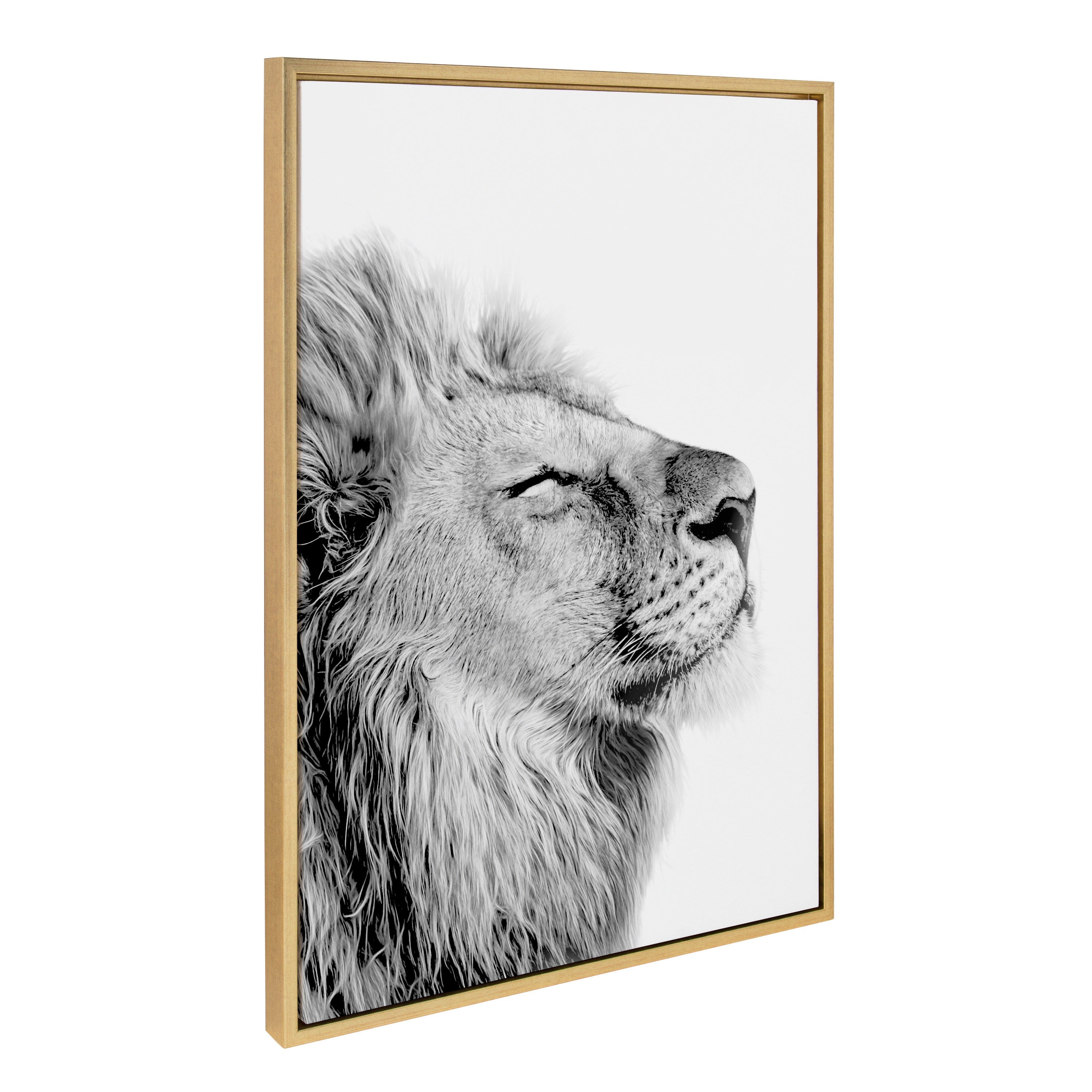Sylvie Lion Self Actualizing Framed Canvas by kateandlaurel - product image 10 for Resin Society