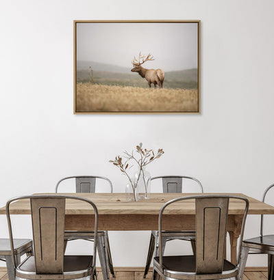 Sylvie Tule Elk No 3 Framed Canvas by kateandlaurel - product image 11 for Resin Society