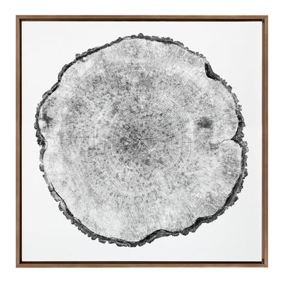 Sylvie Tree Rings Framed Canvas by kateandlaurel - product image 2 for Resin Society