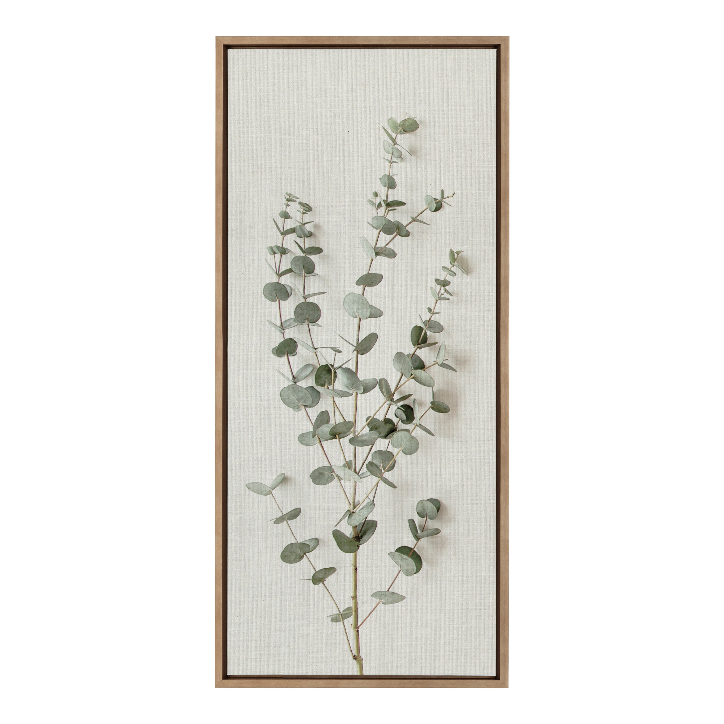 Sylvie Eucalyptus Botanical I Framed Canvas by The Creative Bunch Studio by kateandlaurel - product image 8 for Resin Society