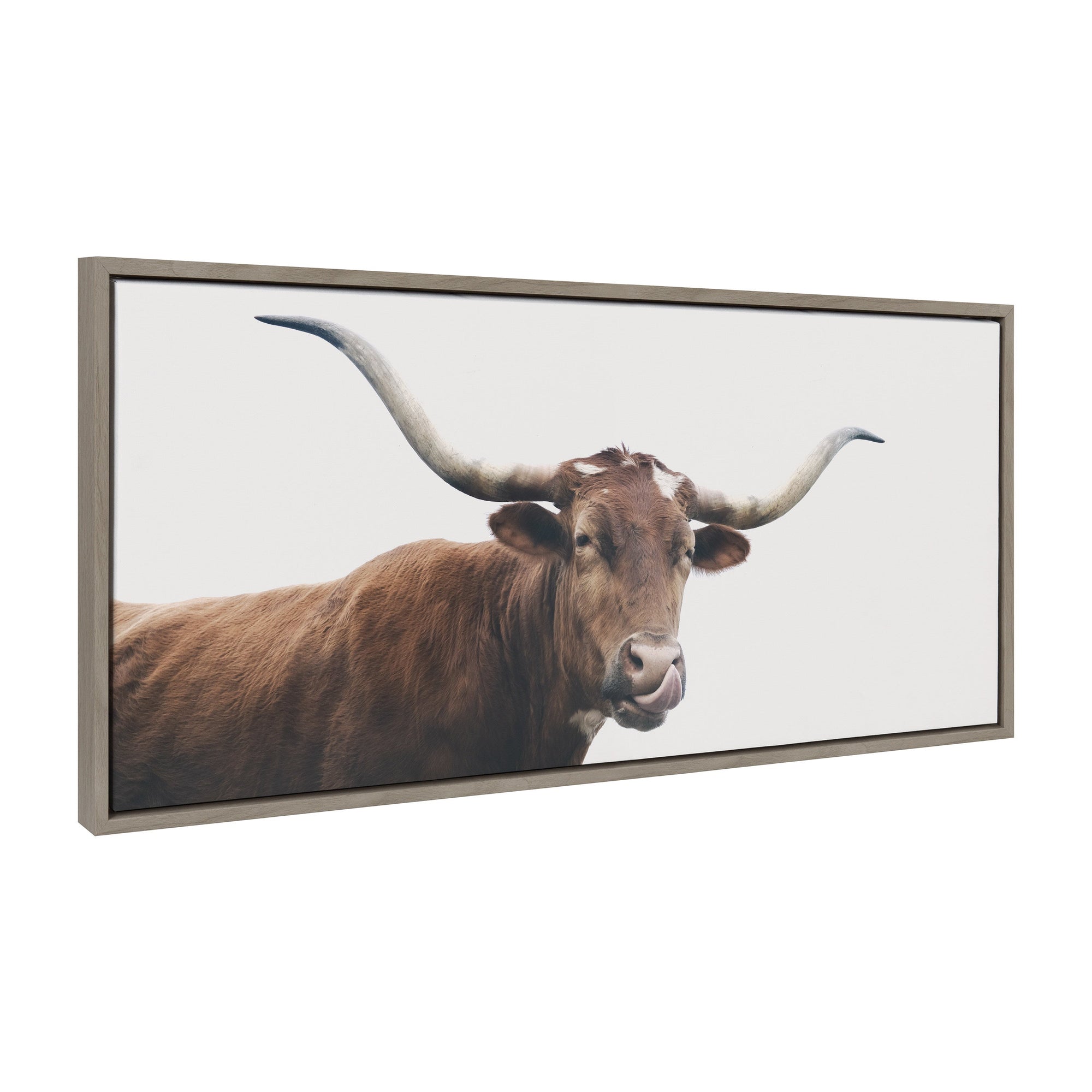 Sylvie Texas Longhorn Cow Lick Framed Canvas by kateandlaurel - main product image for Resin Society