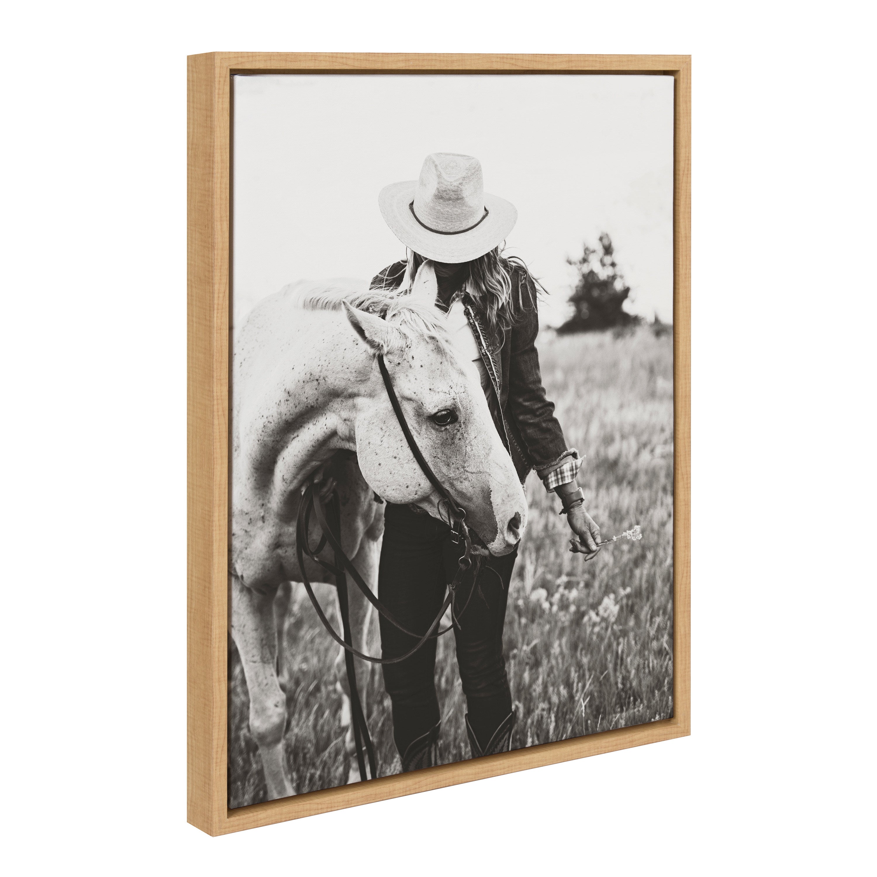 Sylvie Photo Silver Horse Framed Canvas by The Whiskey Ginger