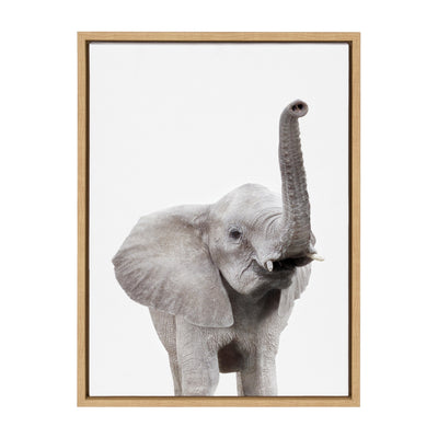 Sylvie Young Elephant Framed Canvas by Amy Peterson by kateandlaurel - product image 2 for Resin Society