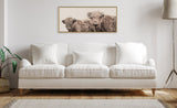 Framed canvas art of two Highland cows with shaggy fur in neutral tones, hung above a white sofa with three cushions in a minimalist living room.