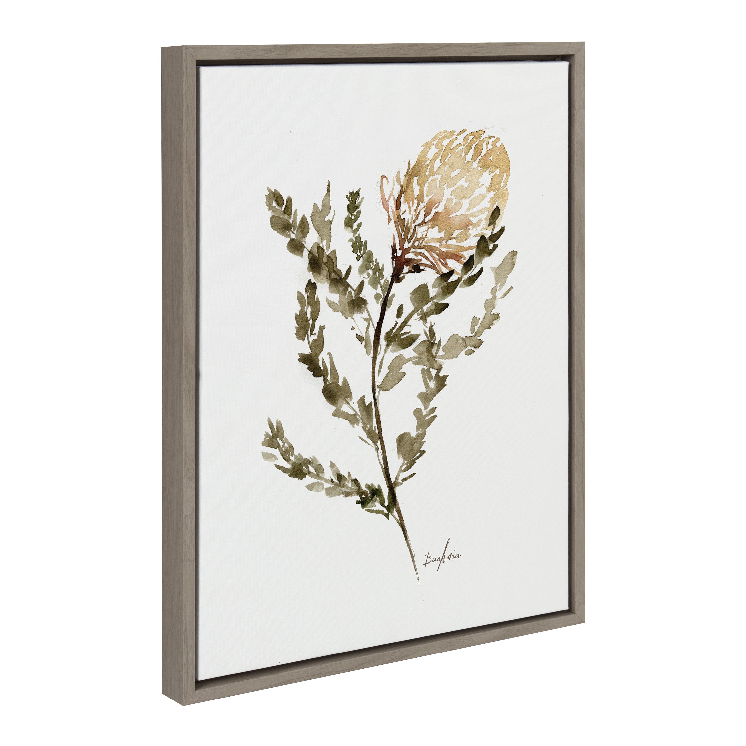 Sylvie Wild Banksia Framed Canvas by kateandlaurel - product image 12 for Resin Society