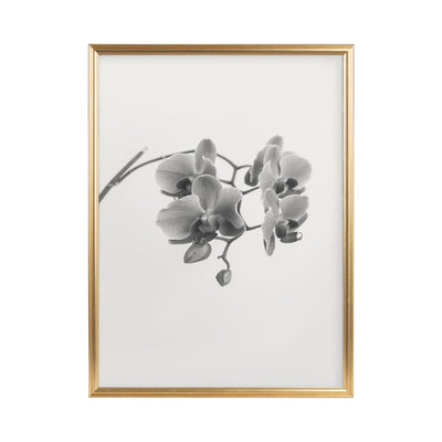 Adlynn Photo Frame Set