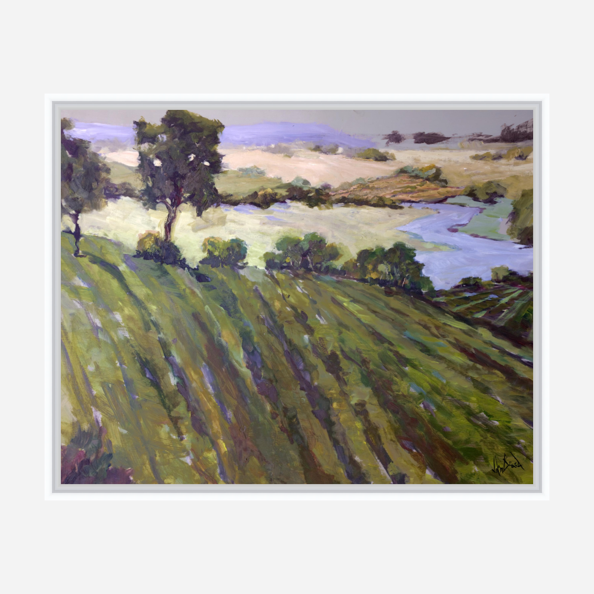 Vineyard Artist Enhanced Canvas Print by John Beard Collection - product image 6 for Resin Society