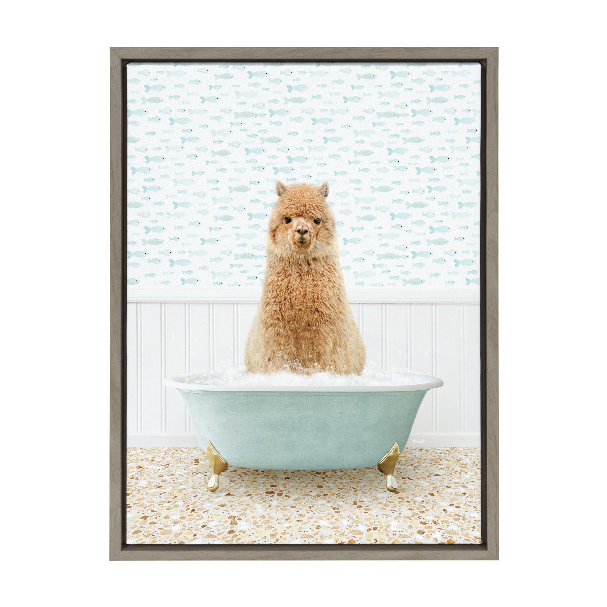 Sylvie Alpaca in Little Fish Bath Framed Canvas by Amy Peterson Art Studio