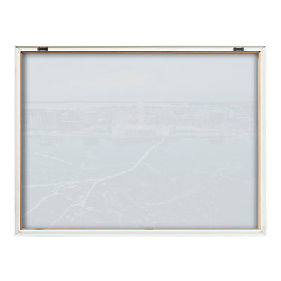 Blake Icy Veins of Winter-Madison Wisconsin Framed Printed Glass by kateandlaurel - product image 4 for Resin Society