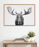 Black and white frontal close-up of a moose with wide antlers on a white background, framed in light wood and hung above a wooden table with stacked books and potted plants.