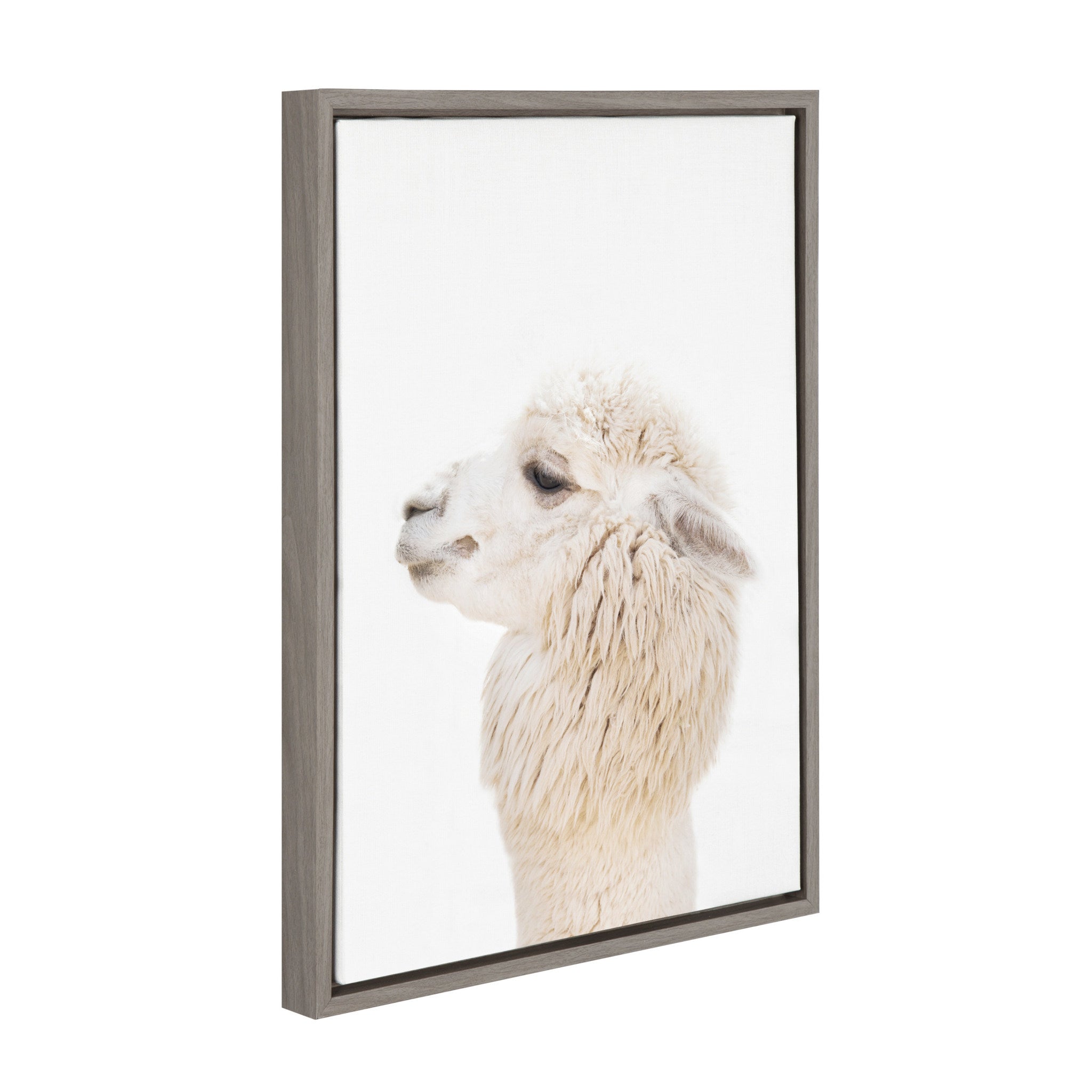 Sylvie Animal Studio Alpaca Profile Framed Canvas by Amy Peterson Art Studio