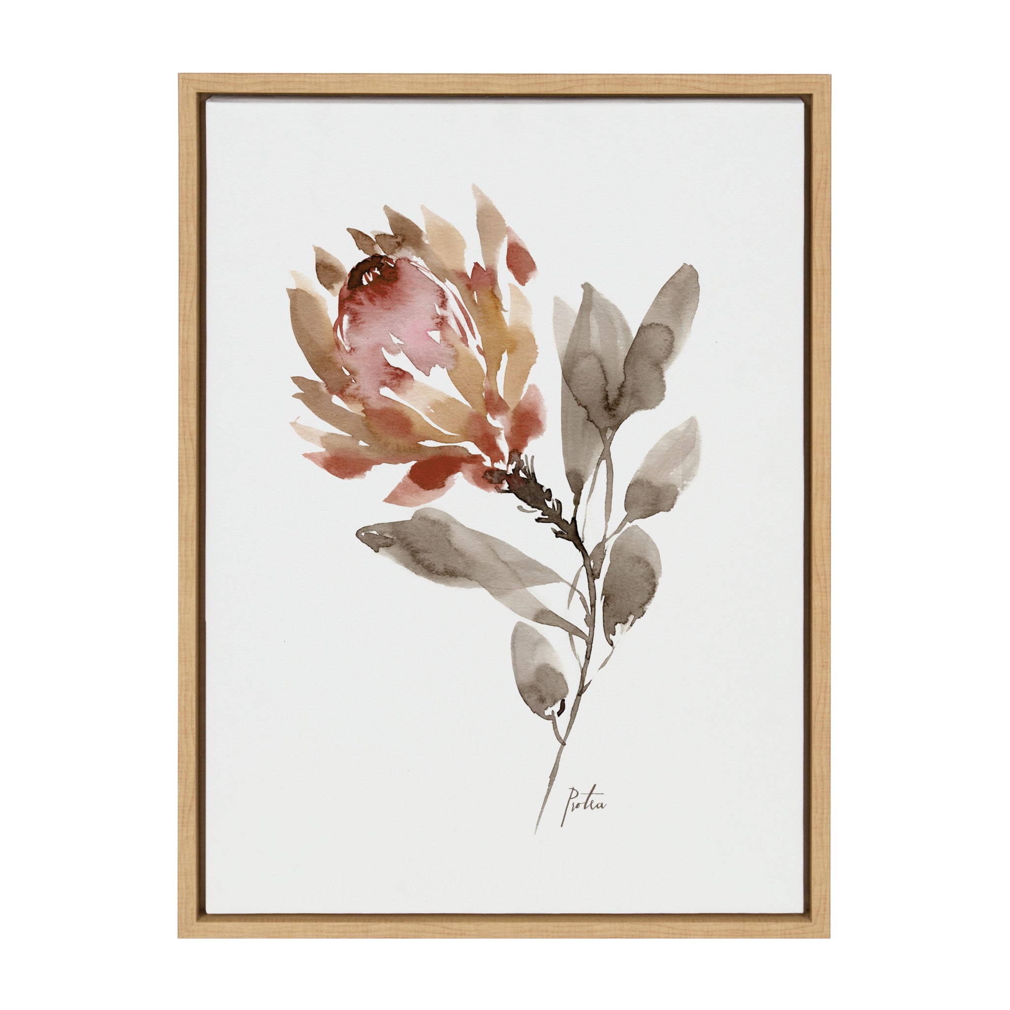 Sylvie Wild King Protea Framed Canvas by kateandlaurel - main product image for Resin Society